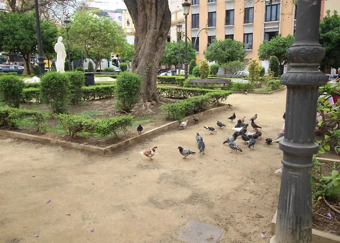 Del Parque Flats Monkey 1
