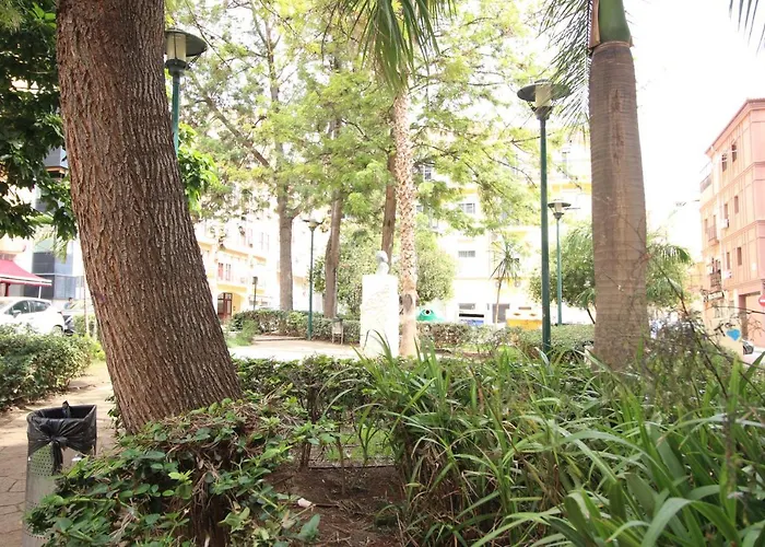 Del Parque Flats Monkey 1